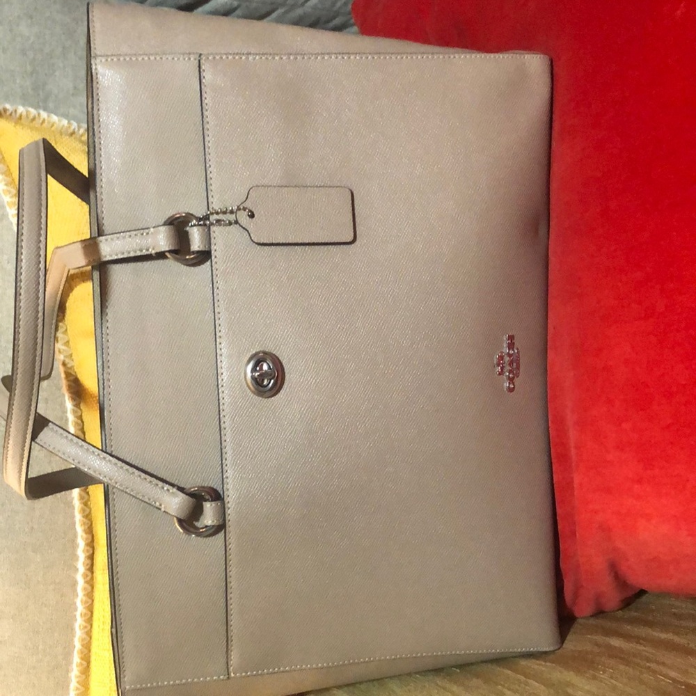 Large Coach east west bag